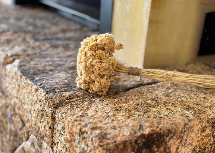 Du Maquis Avec Piscine - Porticcio - Proche