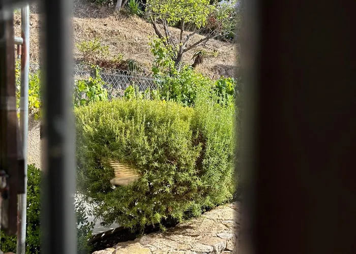 Villa Du Maquis Avec Piscine - Porticcio - Proche