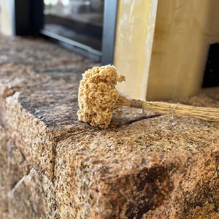 Du Maquis Avec Piscine - Porticcio - Proche