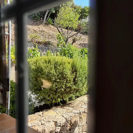 فيلة Du Maquis Avec Piscine - Porticcio - Proche